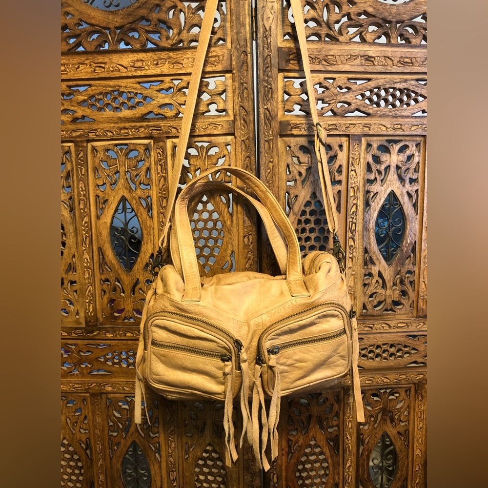 Day & Mood purse.  Lots of zip pockets and great for travel.